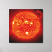 Toile Le Soleil (Recto)