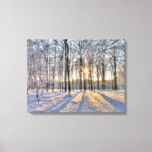 Toile Le soleil d'hiver dans la forêt neigeuse