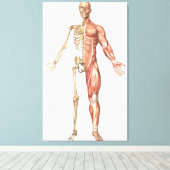 Toile Le Squelette Humain Et Le Système Musculaire, Avan (Insitu (Plancher de Bois))