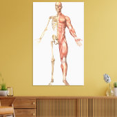 Toile Le Squelette Humain Et Le Système Musculaire, Avan (Insitu(Salon))