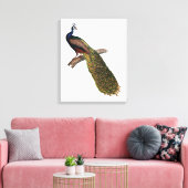 Toile Le symbolisme du paon (Insitu(Salon))