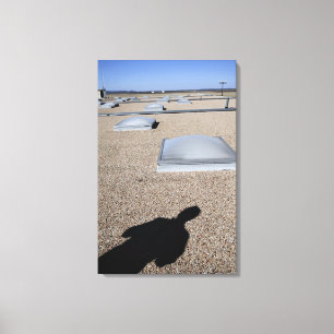 Toile Le système de d'éclairage de jour solaire