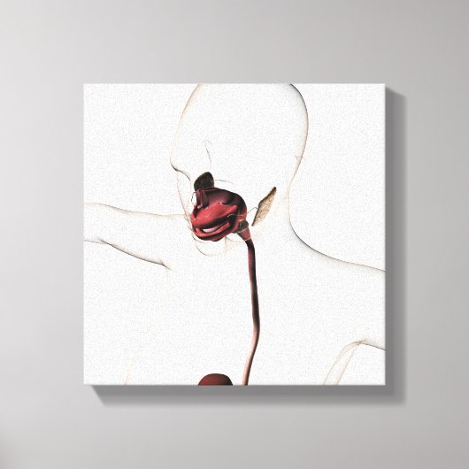 Toile Le système digestif humain 3 (Recto)