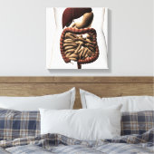 Toile Le système digestif humain 5 (Insitu(Chambre))
