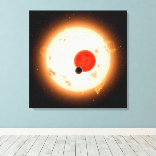 Toile Le système Kepler-16. (Insitu (Plancher de Bois))