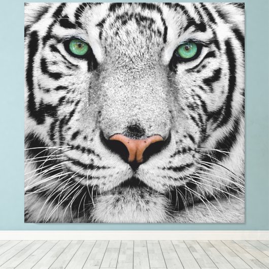 TOILE LE TIGRE BLANC EST CONFRONTÉ À UN GROUPE (Insitu (Plancher de Bois))