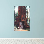 Toile Le transport sous un séquoia géant (Insitu (Plancher de Bois))