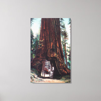 Toile Le transport sous un séquoia géant