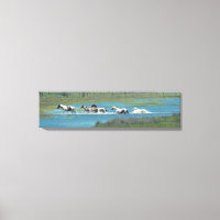 Le troupeau de Leslie Peppers