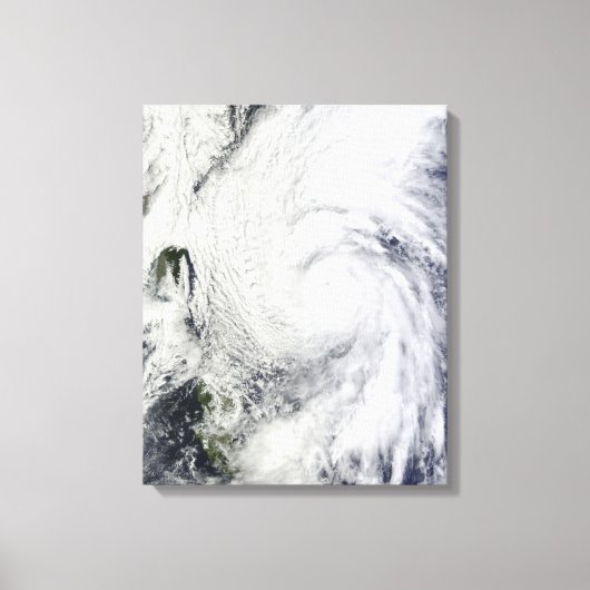 Toile Le typhon Chaba dans la mer des Philippines (Recto)