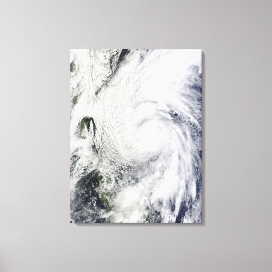 Toile Le typhon Chaba dans la mer des Philippines (Recto)