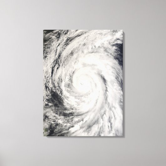 Toile Le typhon Rammasun dans la mer des Philippines (Recto)