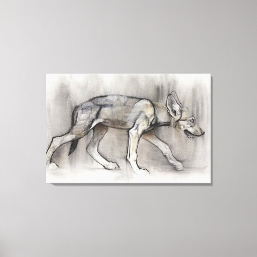 Toile Lean Pup (Recto)