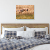 Toile Leapage de coyote - Gibbon Meadows (Insitu(Chambre))