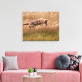 Toile Leapage de coyote - Gibbon Meadows (Insitu(Salon))