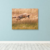 Toile Leapage de coyote - Gibbon Meadows (Insitu (Plancher de Bois))