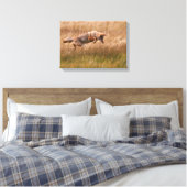 Toile Leapage de coyote - Gibbon Meadows (Insitu(Chambre))