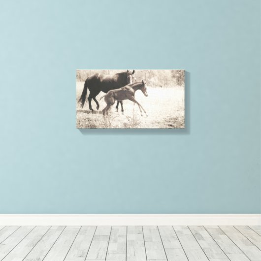 Toile Lecteurs directs (Insitu (Plancher de Bois))