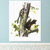 Toile L'écureuil de Fremont, écureuil de soie, par Audub (Insitu (Plancher de Bois))