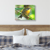 Toile Leiothrix coloré / Pekin Robin Songbird (Insitu(Chambre))
