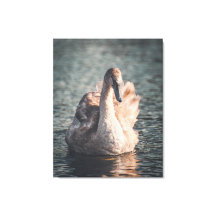 L'élégance sur la voie