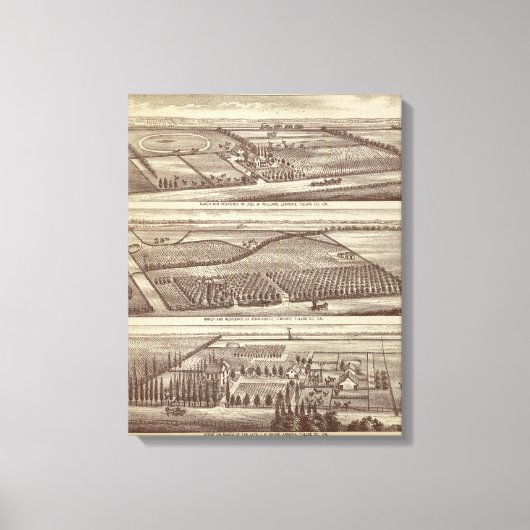 Toile Lemoore, ranchs Armona (Recto)