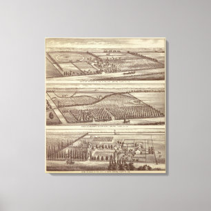 Toile Lemoore, ranchs d'Armona