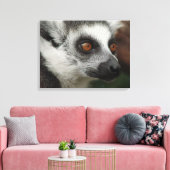 Toile Lemur (Insitu(Salon))