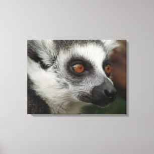 Toile Lemur