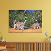 Toile Lémuriens à queue annelée (Lemur Catta), Berenty (Insitu(Salon))