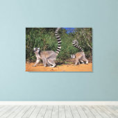 Toile Lémuriens à queue annelée (Lemur Catta), Berenty (Insitu (Plancher de Bois))