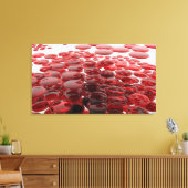 Toile lentilles rouges (Insitu(Salon))