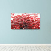 Toile lentilles rouges (Insitu (Plancher de Bois))