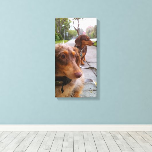 Toile leo + polie (Insitu (Plancher de Bois))