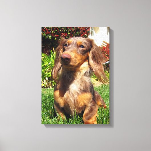 Toile leonidas (Recto)