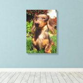 Toile leonidas (Insitu (Plancher de Bois))