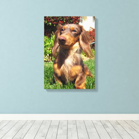 Toile leonidas (Insitu (Plancher de Bois))