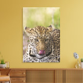Toile Leopard (Insitu(Salon))