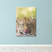 Toile Leopard (Insitu (Plancher de Bois))
