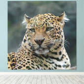 Toile Leopard 006 (Insitu (Plancher de Bois))