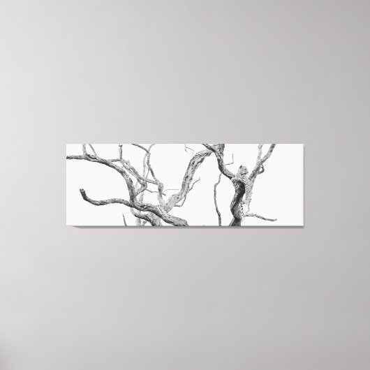 Toile Leopard à clé haute : Inkanyeni Femme (Recto)