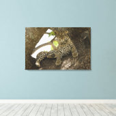 Toile Léopard africain, Panthera pardus (Insitu (Plancher de Bois))