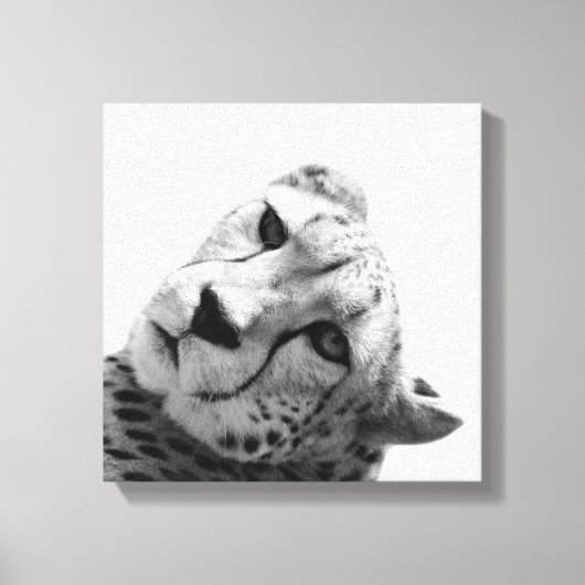 Toile Leopard cheetah animal sauvage photo noir et blanc (Recto)