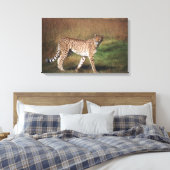 Toile Leopard dans la plaine (Insitu(Chambre))