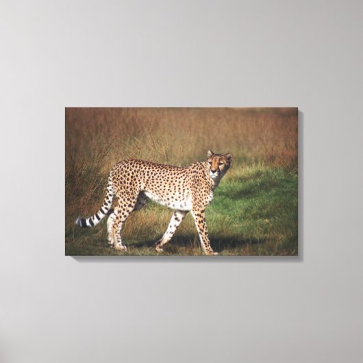 Toile Leopard dans la plaine (Recto)