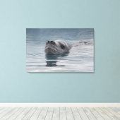 Toile léopard de phoque qui nage (Insitu (Plancher de Bois))
