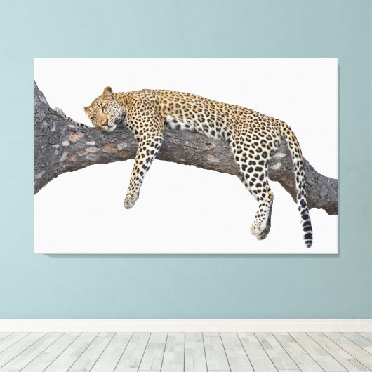 Toile Léopard endormi (Insitu (Plancher de Bois))