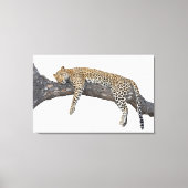 Toile Léopard endormi (Recto)