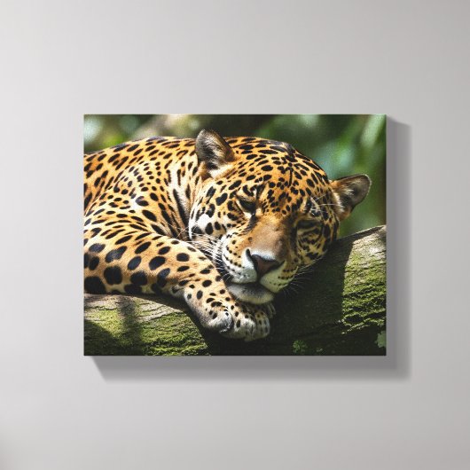Toile leopard sleeping canvas wall art (Recto)