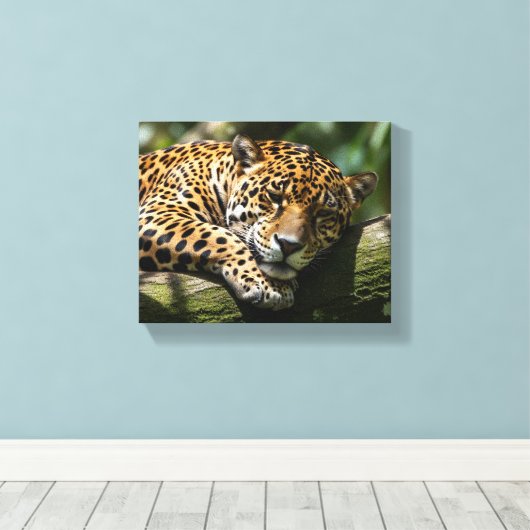 Toile leopard sleeping canvas wall art (Insitu (Plancher de Bois))